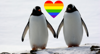 Le collectif Est-Parisien pour l’inclusion des LGBTQI+